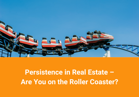 Persistence in Real Estate – Are You on the Roller Coaster?